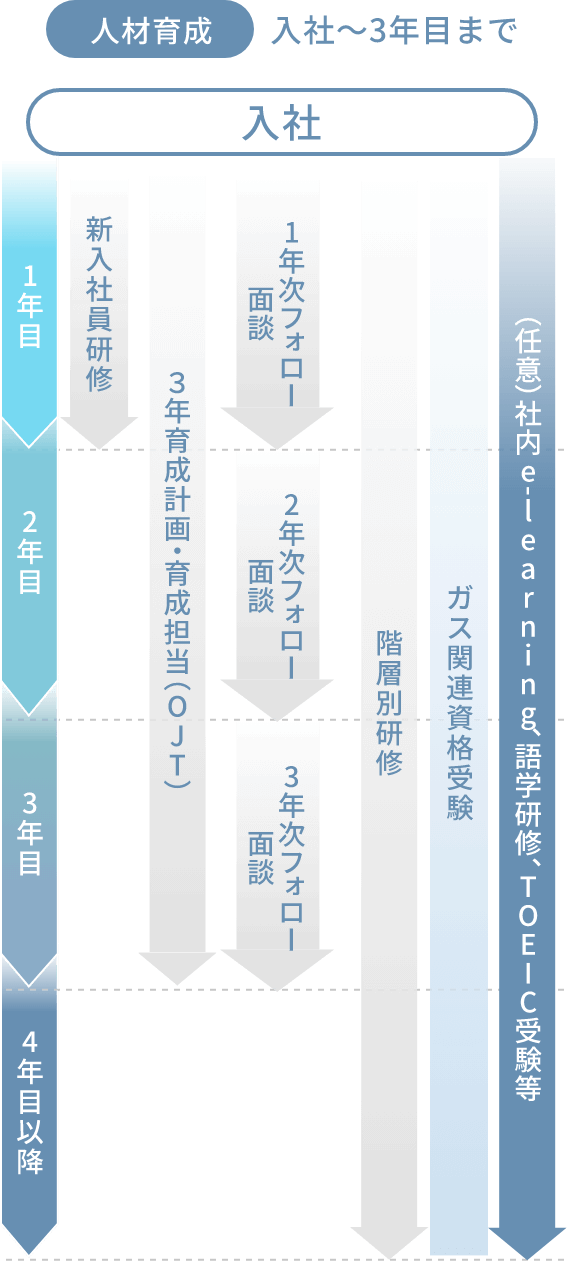 新入社員の3年間のキャリアパスタイムライン。1年目は新入社員研修と基本研修を実施。2年目から3年目にかけてはOJT(職場内訓練)が継続し、各年度ごとのステップアップ研修が行われます。下部には、中途採用者のための専門研修とガス関連資格取得研修、TOEIC対策などを含む中期e-learningプログラムが示されています。